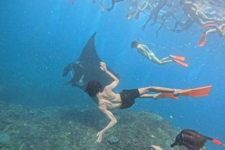 Lembongan Snorkeling & Island Tour — Manta Rays, Reefs & Scenic Cliffs photo 3