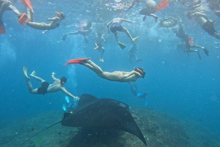 Manta Ray Snorkeling from Bali — Nusa Lembongan & Nusa Penida Day Trip photo 5