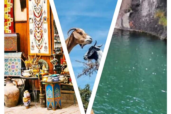 Paradise Valley Day Trip from Agadir — Goats in Argan Trees & Souk El Had Visit