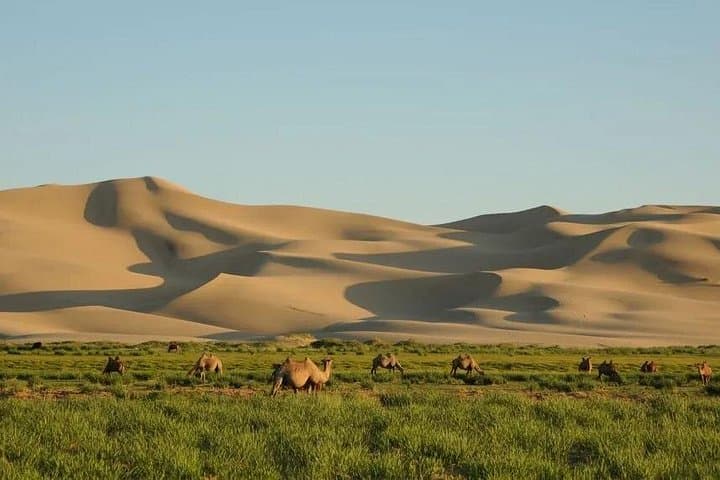 Gobi Desert 8-Day 4WD Adventure: Khongor Dunes, Yolyn Am & Flaming Cliffs photo 4