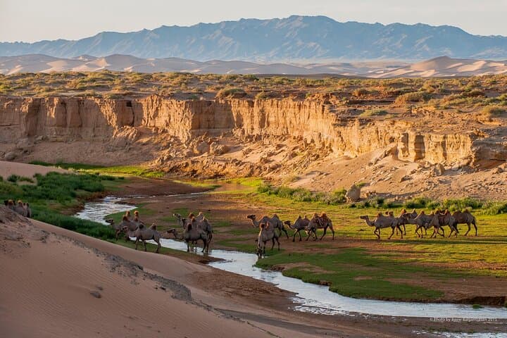 Gobi Desert 8-Day 4WD Adventure: Khongor Dunes, Yolyn Am & Flaming Cliffs photo 1