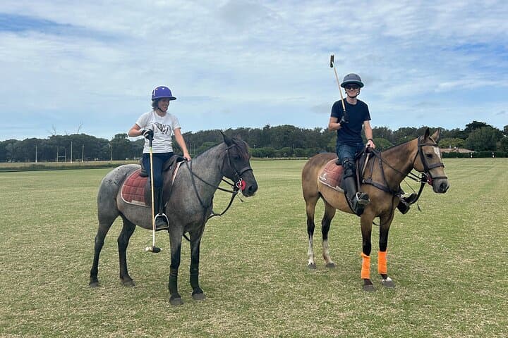 Polo Lessons in Mar del Plata: Learn Argentine Polo at Parque Camet photo 6