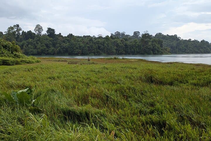 Bukit Brown to MacRitchie: Jungle and Heritage Walk in Singapore photo 6