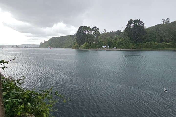Puerto Montt Walking Tour: Local History, Maritime Museum & Coastal Sights photo 3