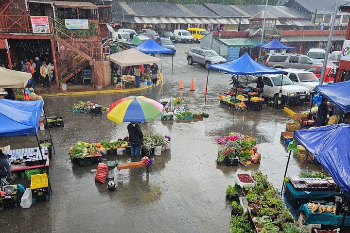 Puerto Montt Walking Tour: Local History, Maritime Museum & Coastal Sights photo 4