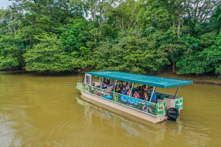 Caño Negro Wildlife Boat Safari from La Fortuna — Full-Day Río Frío Boat Tour photo 4