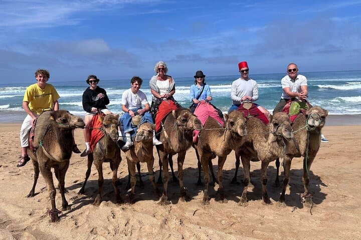 Private Tangier Highlights: Medina, Cap Spartel & Camel Ride (Half-Day)