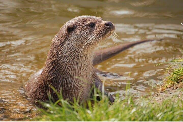 Peñas Blancas River Safari: Half-Day Wildlife Float from La Fortuna photo 6