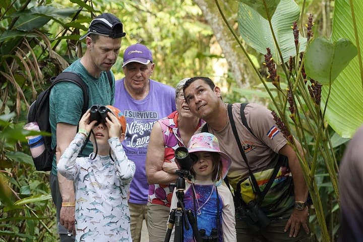 Sloth Watching in Arenal — Easy Guided 800m Nature Walk in La Fortuna photo 3