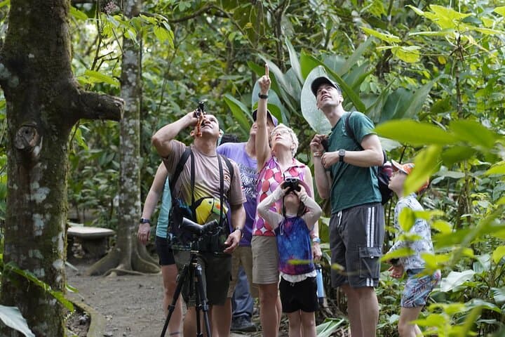 Twilight Sloth Encounter & Guided Night Walk in La Fortuna photo 6