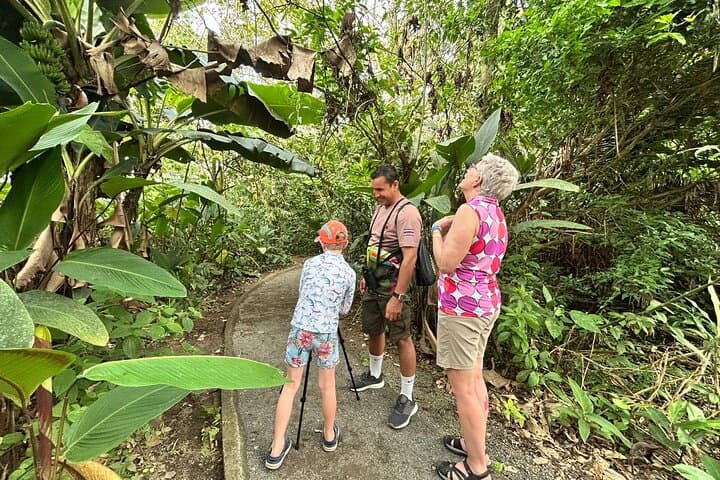 Sloth Watching in Arenal — Easy Guided 800m Nature Walk in La Fortuna photo 6