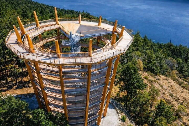Malahat SkyWalk & Craigdarroch Castle Private Tour — Victoria's Newest Tower and Oldest Mansion