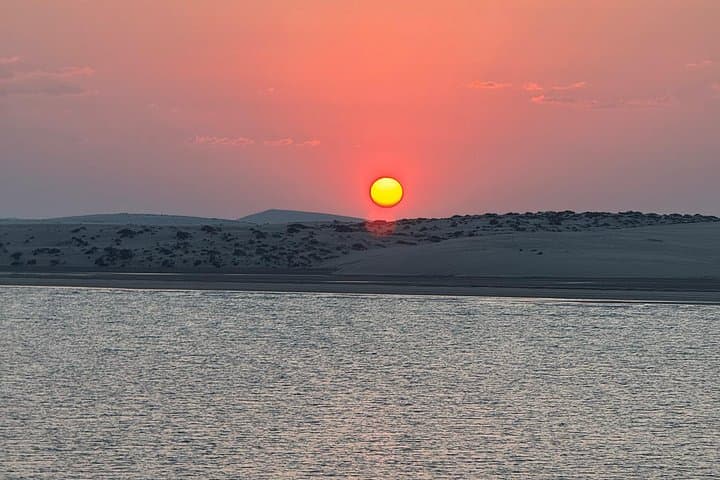 Doha Desert Safari: Sunrise, Sunset & Night Tours to Khor Al Adaid photo 1