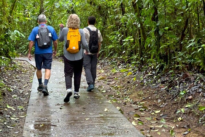 Hike Río Celeste: Tenorio Volcano’s Light-Blue River and Waterfall photo 5