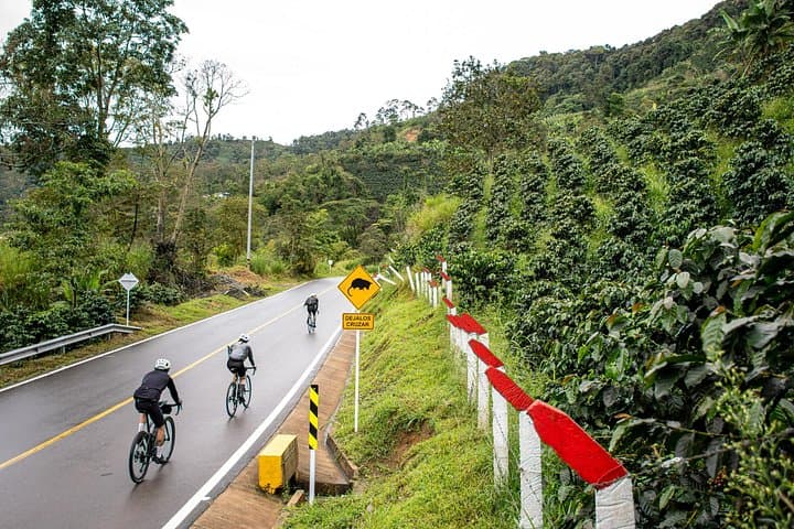 Land of Coffee 7-Day Cycling Adventure: Alto de Letras, Cocora Valley & Coffee Triangle
