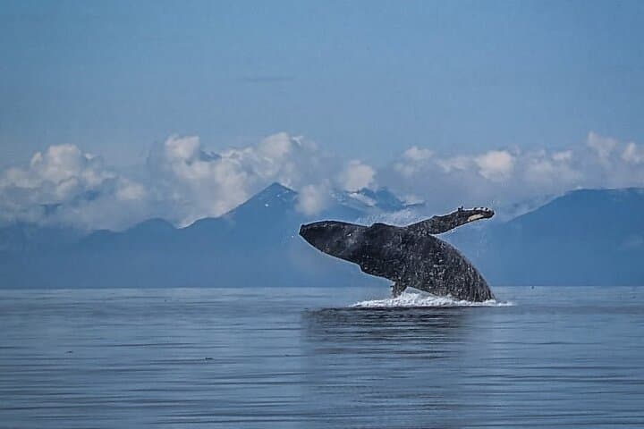 5-Day Southeast Alaska Jetski Expedition from Juneau — LeConte Glacier & Kake photo 5