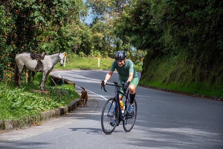 Alto de Letras 7-Day Seniors Cycling Challenge — Premium Colombia Ride photo 2