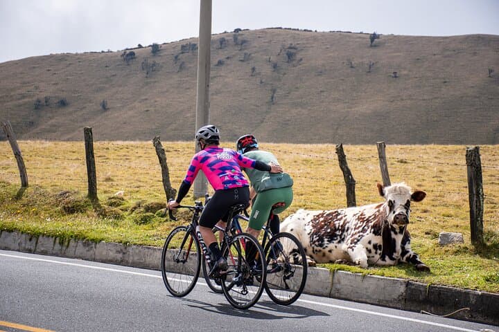 Alto de Letras 7-Day Seniors Cycling Challenge — Premium Colombia Ride photo 4