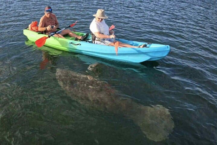 Three Sisters Kayak & Manatee Snorkel — Guided Crystal River Tour