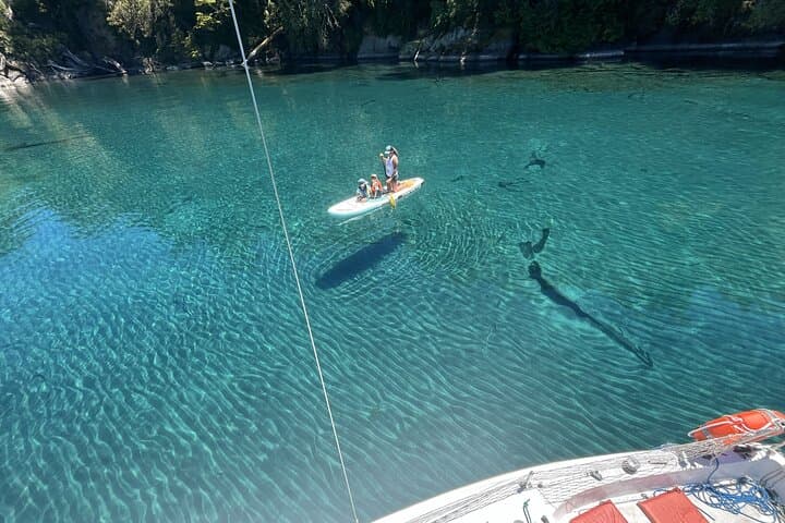 Sailing the Northern Arms of Lake Nahuel Huapi: 3-4 Hour Boat Tour from Villa La Angostura photo 3