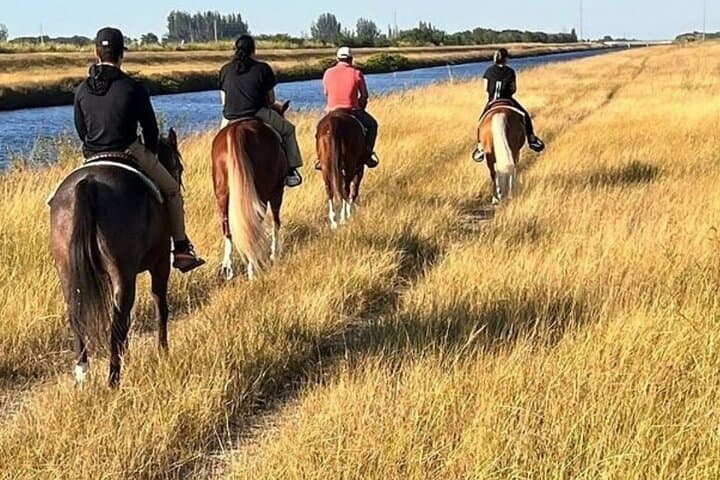 Guided Horseback Riding in Miami Countryside: Scenic Ranch Trails & Beginner-Friendly Rides photo 3