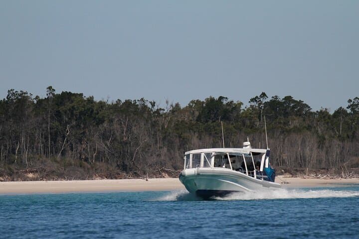 Great Sandy Straits Seven-Island Wildlife Cruise from Urangan Marina photo 2