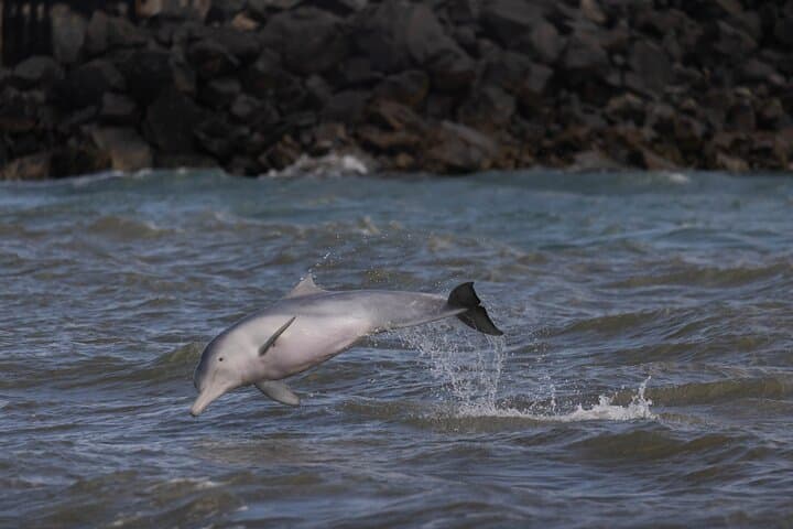 Great Sandy Straits Seven-Island Wildlife Cruise from Urangan Marina photo 4