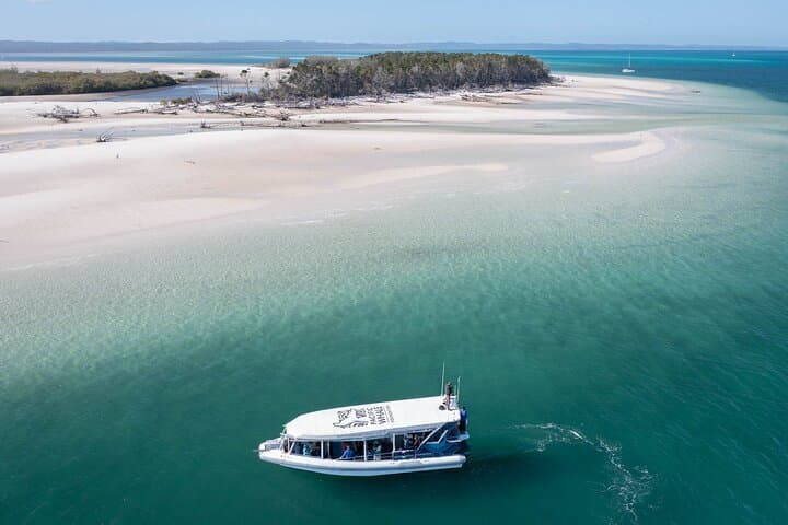 Great Sandy Straits Seven-Island Wildlife Cruise from Urangan Marina photo 1