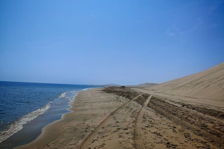 Doha Desert and City Explorer: Private Dune Bashing & Cultural City Tour