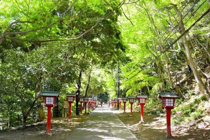 Private Family Day Tour from Tokyo: Mt Takao, Kamakura & Enoshima by Porsche Panamera