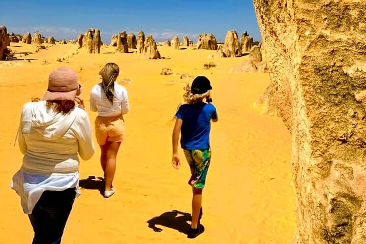 4WD Pinnacles Desert & Turquoise Coast Day Tour — Sandboarding at Lancelin photo 3