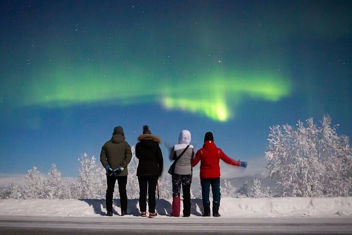 Chasing the Auroras: Kiruna Northern Lights Photography Tour Guide