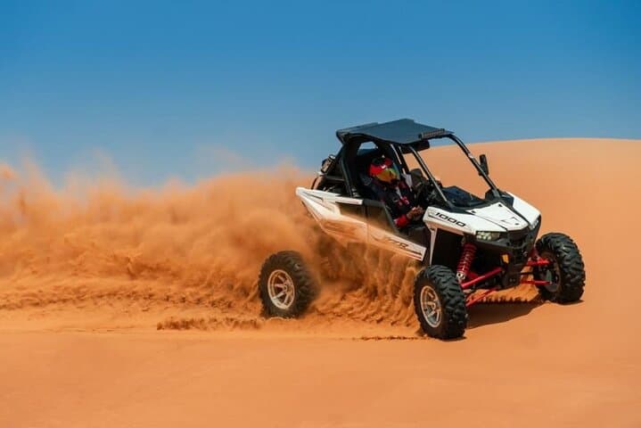 Dubai Red Dunes Safari: Sandboarding, Camel Ride & Falcon Photo Experience photo 6