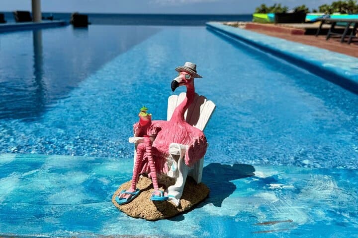 Bonaire Oceanfront Villa Day Pass: Snorkel, Kayak & All-Inclusive Beach Day