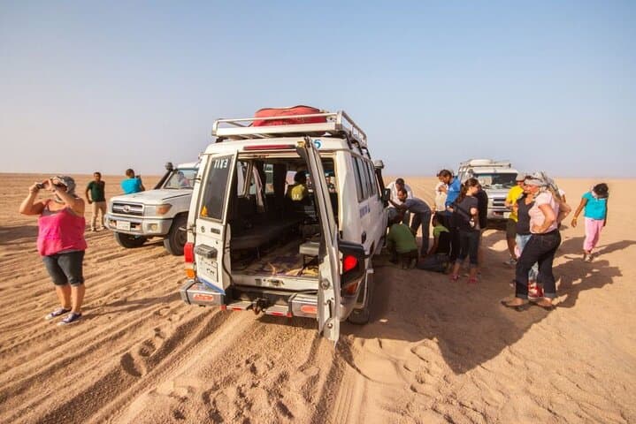 Hurghada Super Safari: Quad, Buggy & Bedouin Sunset Adventure photo 2