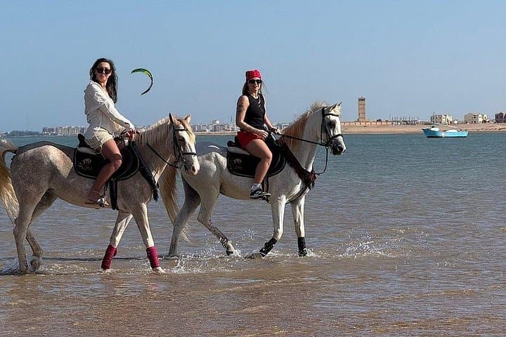 Ride the Red Sea: Desert-to-Shore Horseback Adventure in Hurghada photo 4