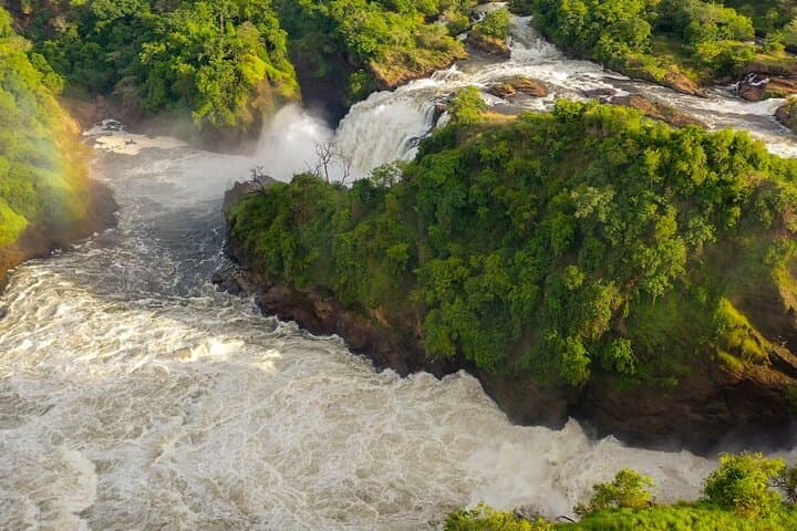 5-Day Uganda Safari — Murchison Falls Nile Cruise & Kibale Chimp Tracking photo 3