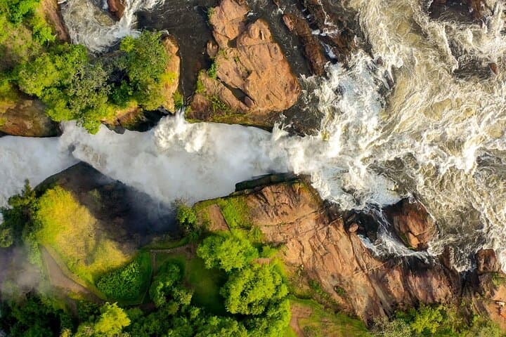 5-Day Uganda Safari — Murchison Falls Nile Cruise & Kibale Chimp Tracking photo 4