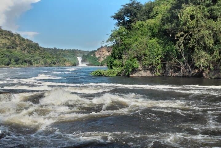 5-Day Uganda Safari — Murchison Falls Nile Cruise & Kibale Chimp Tracking photo 6