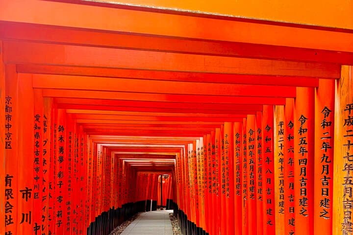 Private Kyoto & Nara Day Tour with English Guide and Comfortable Vehicle photo 1