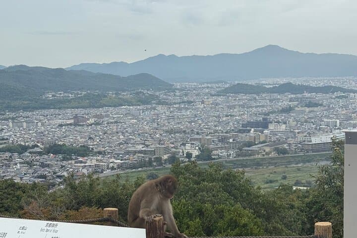 Private Kyoto & Nara Day Tour with English Guide and Comfortable Vehicle photo 4