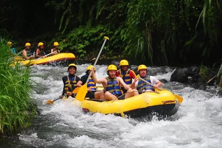 Ubud White Water Rafting and Silver Jewelry Workshop — Private Day Tour photo 3