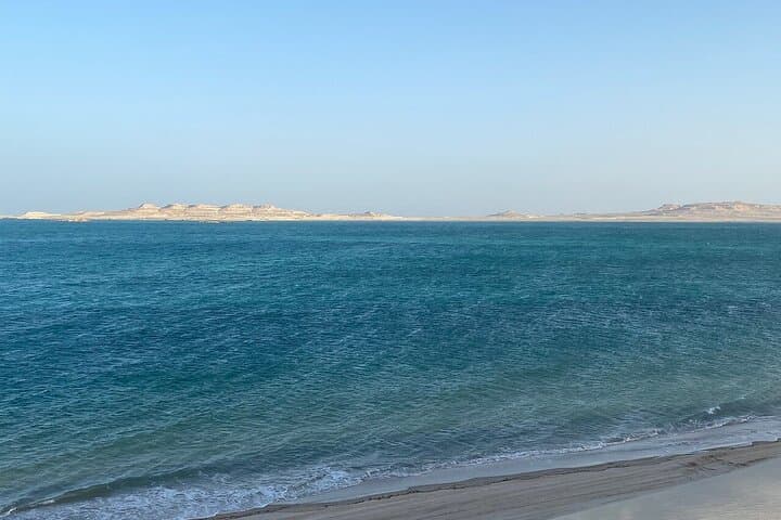 Doha Desert Safari & Keshta: Dune Bashing to Khor Al Adaid (Inland Sea) photo 4