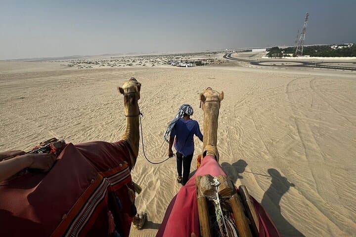 Doha Desert Safari & Keshta: Dune Bashing to Khor Al Adaid (Inland Sea) photo 6