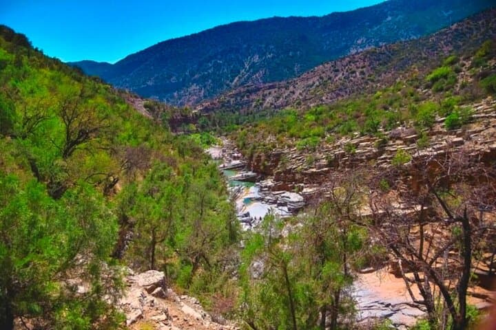 Ouzoud Waterfalls Day Trip from Marrakech — Cascades d'Ouzoud & River Swim photo 5