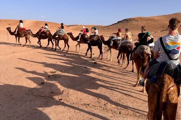 Agafay Desert Sunset Camel and Quad Bike Tour from Marrakech photo 3