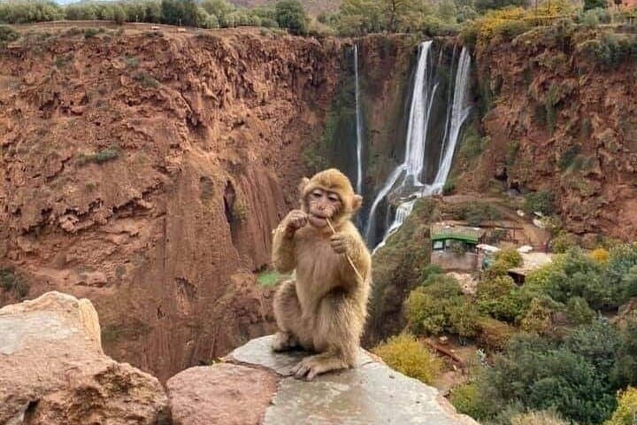 Hike and Boat to Ouzoud Waterfalls from Marrakech photo 5