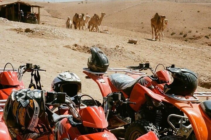 Agafay Desert Quad and Camel Ride with Dinner & Sunset Show from Marrakech photo 2