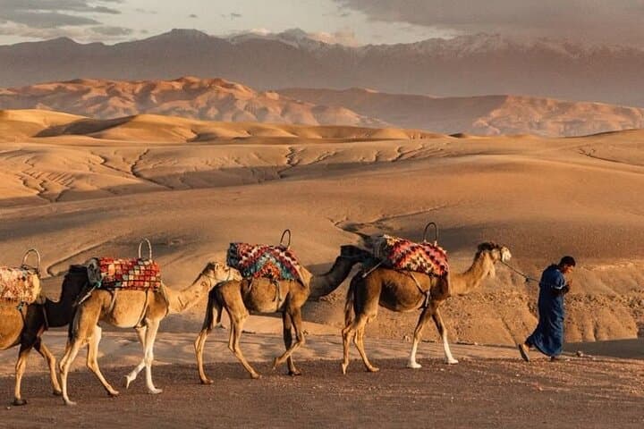 Agafay Desert Quad and Camel Ride with Dinner & Sunset Show from Marrakech photo 3