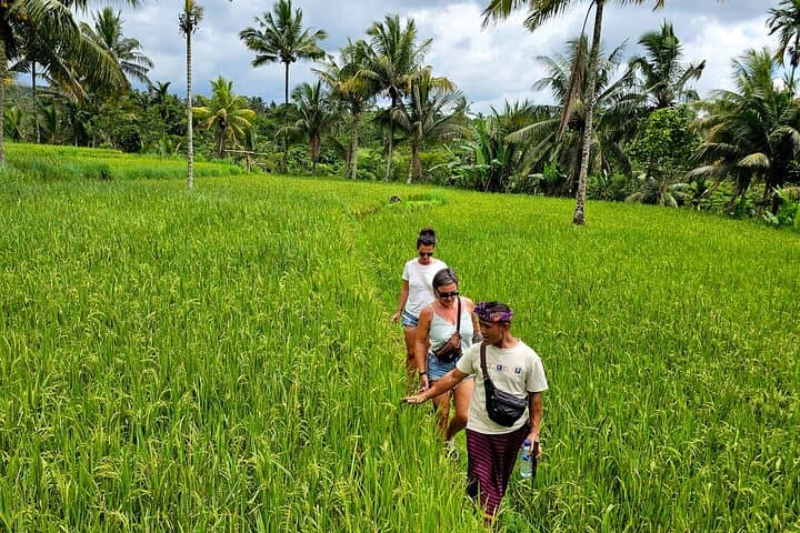 Lombok Hidden Waterfalls Walk: Sukarara Weaving, Rice Fields & Aik Berik Falls photo 4